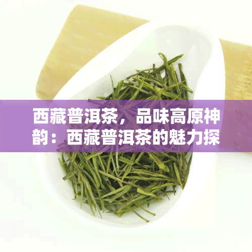      普洱茶，品味高原神韵：     普洱茶的魅力探索