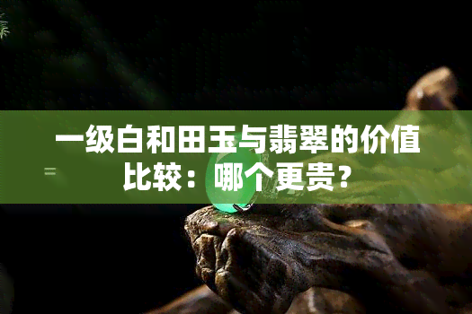 一级白和田玉与翡翠的价值比较：哪个更贵？