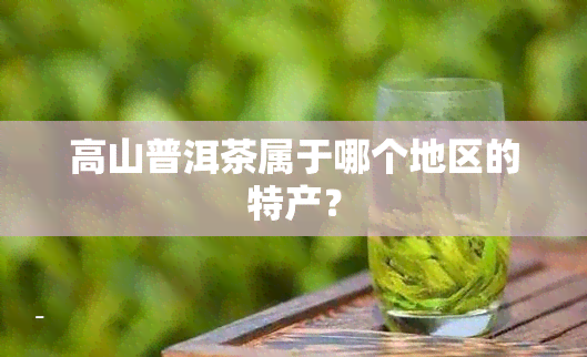 高山普洱茶属于哪个地区的特产？