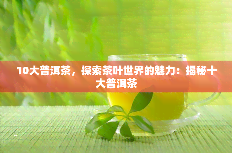 10大普洱茶，探索茶叶世界的魅力：揭秘十大普洱茶