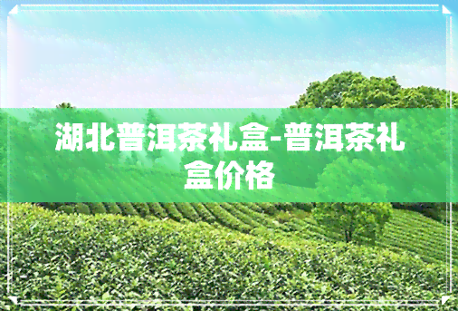 湖北普洱茶礼盒-普洱茶礼盒价格