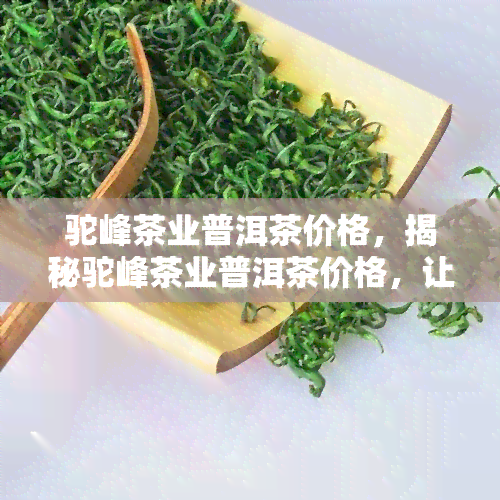 驼峰茶业普洱茶价格，揭秘驼峰茶业普洱茶价格，让您了解最新行情！