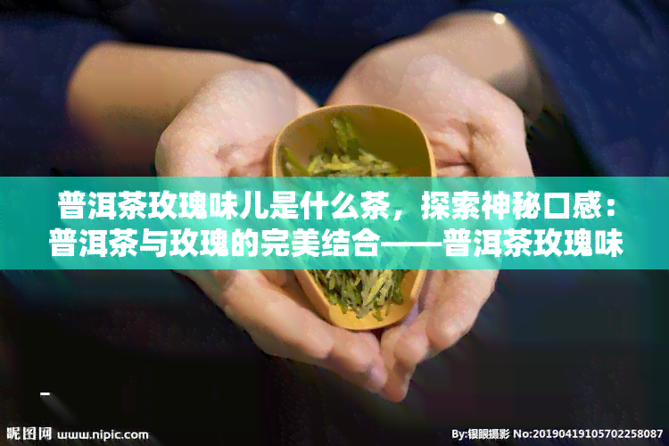 普洱茶玫瑰味儿是什么茶，探索神秘口感：普洱茶与玫瑰的完美结合——普洱茶玫瑰味儿详解