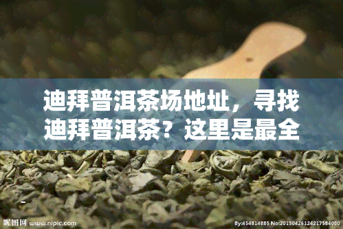 迪拜普洱茶场地址，寻找迪拜普洱茶？这里是最全的场地址！