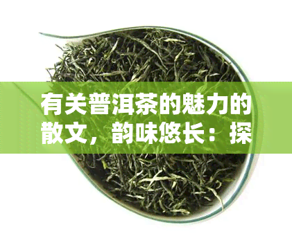 有关普洱茶的魅力的散文，韵味悠长：探索普洱茶的魅力世界