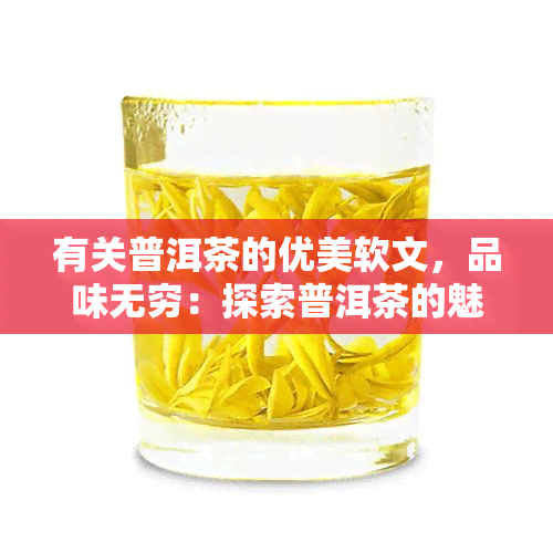 有关普洱茶的优美软文，品味无穷：探索普洱茶的魅力与故事