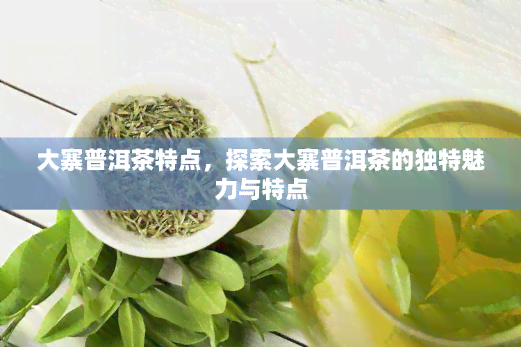 大寨普洱茶特点，探索大寨普洱茶的独特魅力与特点