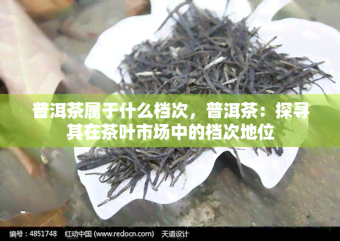 普洱茶属于什么档次，普洱茶：探寻其在茶叶市场中的档次地位