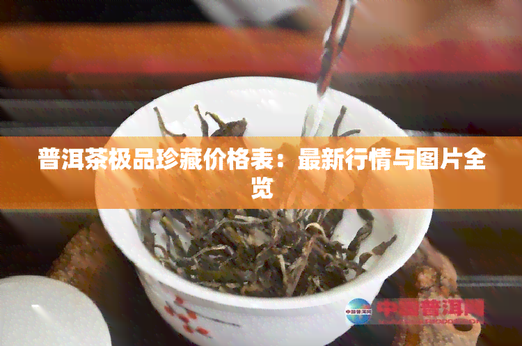 普洱茶极品珍藏价格表：最新行情与图片全览