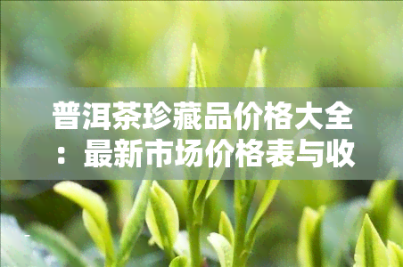 普洱茶珍藏品价格大全：最新市场价格表与收藏价值解析