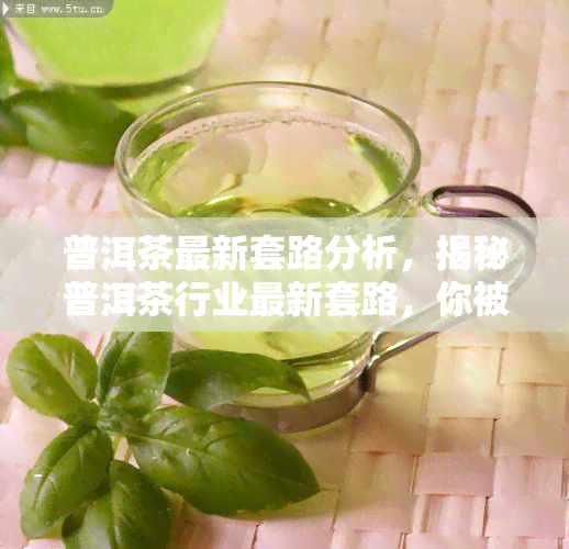 普洱茶最新套路分析，揭秘普洱茶行业最新套路，你被套路了吗？