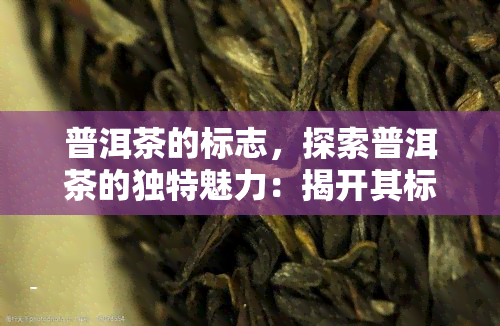 普洱茶的标志，探索普洱茶的独特魅力：揭开其标志性象征的神秘面纱