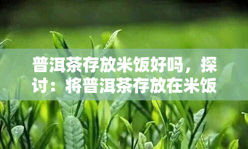 普洱茶存放米饭好吗，探讨：将普洱茶存放在米饭中是否合适？