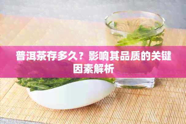 普洱茶存多久？影响其品质的关键因素解析