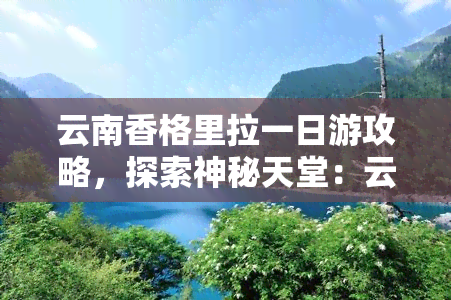 云南香格里拉一日游攻略，探索神秘天堂：云南香格里拉一日游全攻略