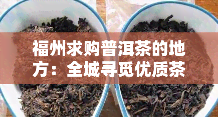 福州求购普洱茶的地方：全城寻觅优质茶叶