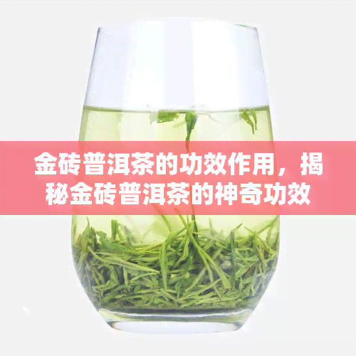 金砖普洱茶的功效作用，揭秘金砖普洱茶的神奇功效与作用！