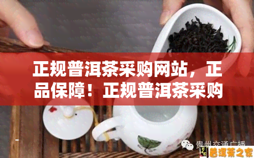 正规普洱茶采购网站，正品保障！正规普洱茶采购网站推荐