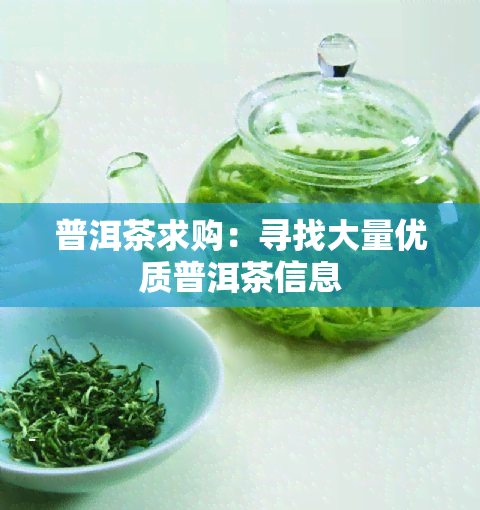 普洱茶求购：寻找大量优质普洱茶信息