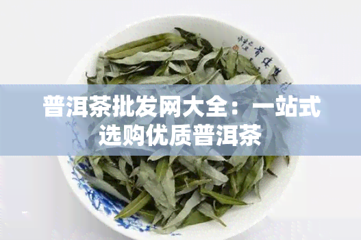 普洱茶批发网大全：一站式选购优质普洱茶