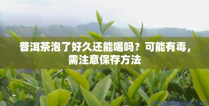 普洱茶泡了好久还能喝吗？可能有，需注意保存方法