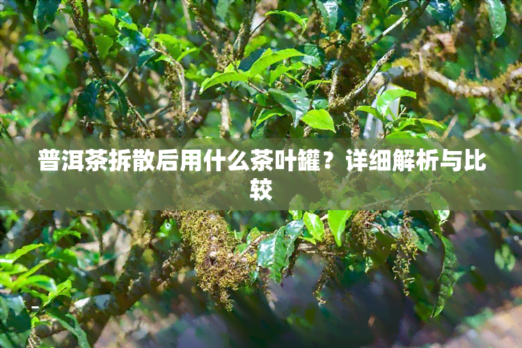 普洱茶拆散后用什么茶叶罐？详细解析与比较