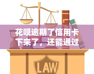 花呗逾期了信用卡下来了，还能通过面签吗？安全性如何？