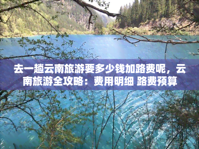 去一趟云南旅游要多少钱加路费呢，云南旅游全攻略：费用明细 路费预算