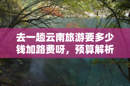 去一趟云南旅游要多少钱加路费呀，预算解析：云南旅游全包费用 路费究竟需要多少？