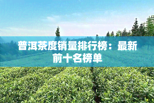 普洱茶度销量排行榜：最新前十名榜单