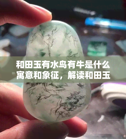 和田玉有水鸟有牛是什么寓意和象征，解读和田玉中的水鸟与牛：寓意与象征探析