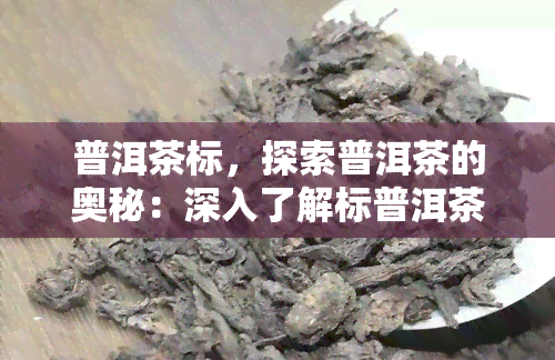 普洱茶标，探索普洱茶的奥秘：深入了解标普洱茶的特点和魅力