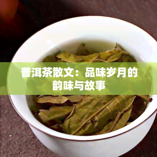 普洱茶散文：品味岁月的韵味与故事