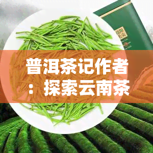 普洱茶记作者：探索云南茶文化的深度解析