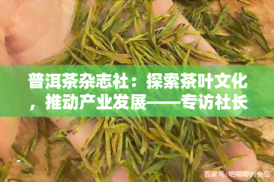 普洱茶杂志社：探索茶叶文化，推动产业发展——专访社长