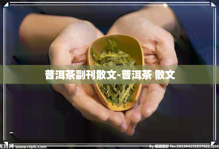 普洱茶副刊散文-普洱茶 散文