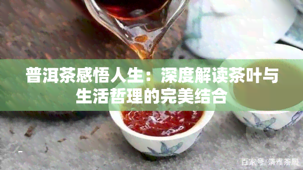 普洱茶感悟人生：深度解读茶叶与生活哲理的完美结合