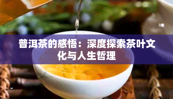 普洱茶的感悟：深度探索茶叶文化与人生哲理