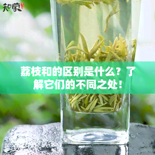 荔枝和的区别是什么？了解它们的不同之处！