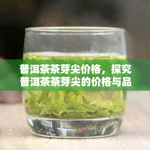 普洱茶茶芽尖价格，探究普洱茶茶芽尖的价格与品质关系