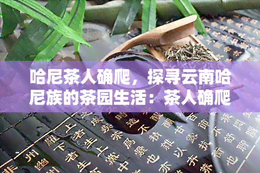 哈尼茶人确爬，探寻云南哈尼族的茶园生活：茶人确爬的故事