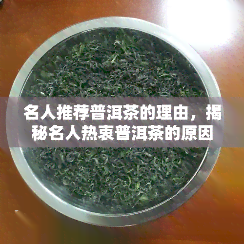 名人推荐普洱茶的理由，揭秘名人热衷普洱茶的原因：他们为何爱这种独特的茶叶？