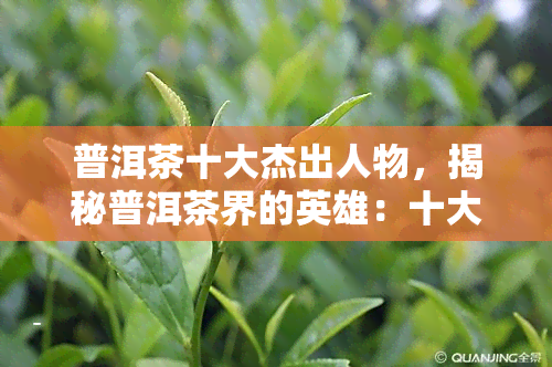 普洱茶十大杰出人物，揭秘普洱茶界的英雄：十大杰出人物盘点