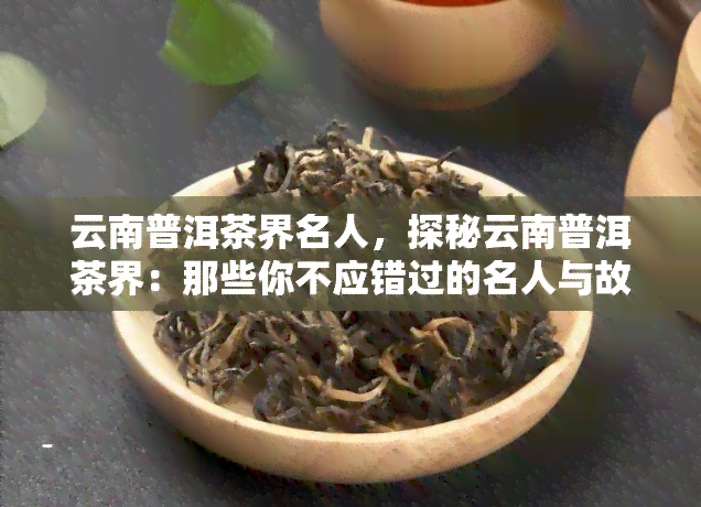 云南普洱茶界名人，探秘云南普洱茶界：那些你不应错过的名人与故事