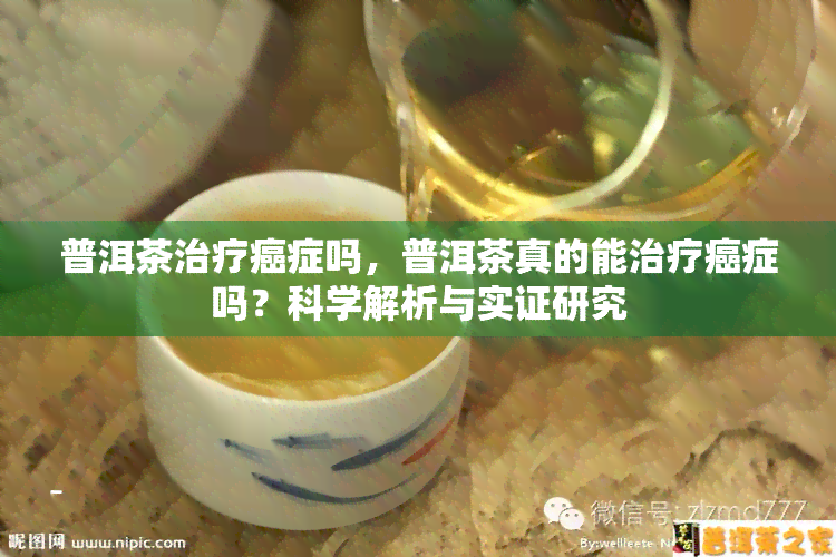 普洱茶治疗癌症吗，普洱茶真的能治疗癌症吗？科学解析与实证研究