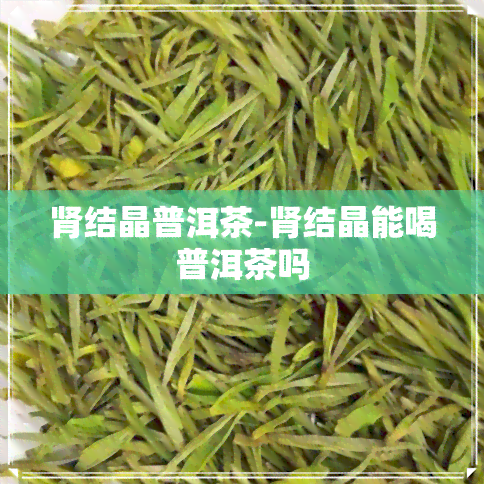 肾结晶普洱茶-肾结晶能喝普洱茶吗