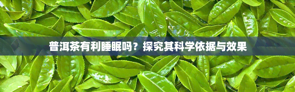 普洱茶有利睡眠吗？探究其科学依据与效果