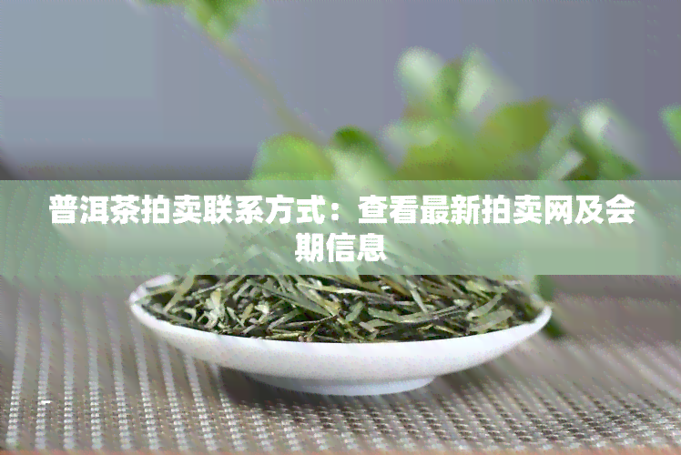 普洱茶拍卖联系方式：查看最新拍卖网及会期信息