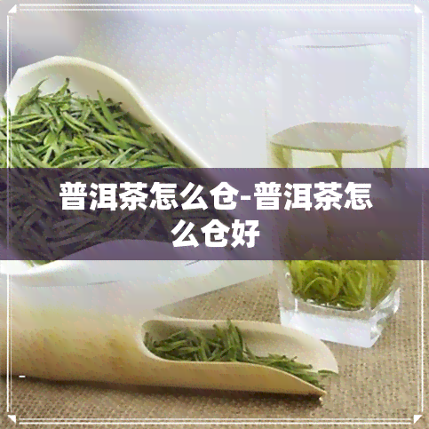 普洱茶怎么仓-普洱茶怎么仓好