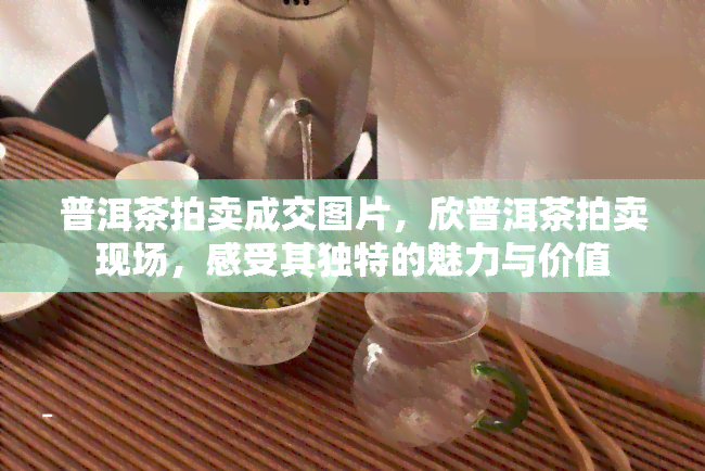 普洱茶拍卖成交图片，欣普洱茶拍卖现场，感受其独特的魅力与价值